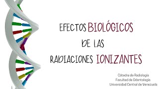 Efectos Estocásticos y Determinísticos de las Radiaciones Ionizantes [upl. by Westbrook]