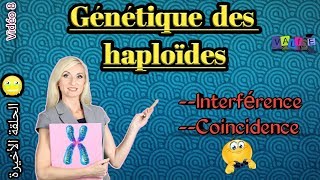 Vidéo 8 Génétique des haploïdes en arabe SVI S4 Interférence et Coïncidence 😥الحلقة الاخيرة [upl. by Ahseile673]