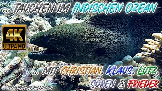 Tauchen im Indischen Ozean 🐠 🐡 🦞 [upl. by Alic]