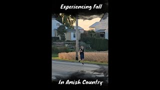 The Best Of Amish Country Fall Edition [upl. by Recha]