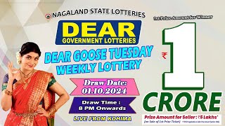 LOTTERY SAMBAD DEAR 8 PM 01102024 NAGALAND LOTTERY LIVE DEAR LOTTERY LIVE LOTTERY SAMBAD LIVE [upl. by Haukom571]