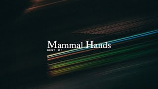 Best of Mammal Hands [upl. by Stahl]