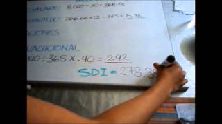 ¿Cómo calcular el SDI Tutorial [upl. by Alecia904]