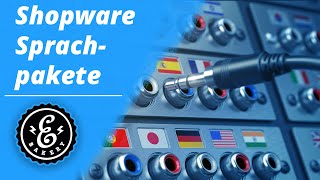 Shopware Sprachpakete  Mit Sprachpaketen euren Shopware Sprachshop übersetzen  Shopware Tutorial [upl. by Atirihs876]