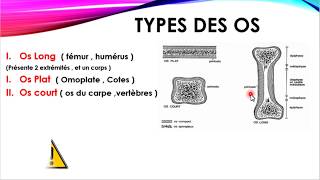 Méthodologie  Terminologie en ANATOMIE [upl. by Sura]