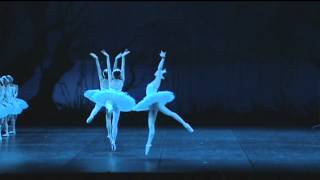 Swan Lake Jose Martinez with Tokyo Ballet [upl. by Mechling]