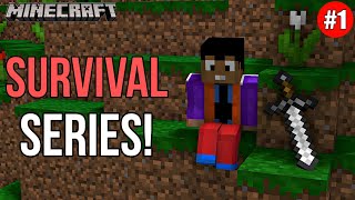 Minecraft JAVA 🔥 Survival series EP  1 in हिन्दी 120  Find a village amp made Iron Armor amp tools [upl. by Gilbye]