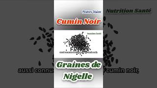 Bienfaits Graines de nigelle Cumin Noir Thymoquinone nigella graine plante huile antioxydantinflam [upl. by Sigismund]