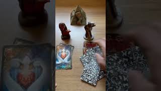 PARA CONSULTAS PARTICULARES 21 986556776 tiragemdetarot tiragemdecartas tarot tarô taro [upl. by Odlo]