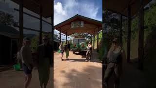 Welcome to Bwindi Impenetrable Forest National Park A home to gorillas gorillatrekking gorillas [upl. by Harleigh236]