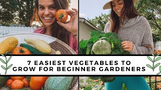 7 Easiest To Grow Vegetables For Beginners  Gardening 101 [upl. by Cornelia90]