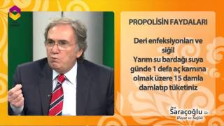 Prof Saraçoğlundan propolisin faydaları [upl. by Selestina]