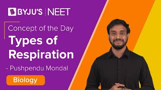 Types of Respiration Respiration in Plants  Class 11 BIOLOGY  NEET 2021  NEET 2022  BYJUS NEET [upl. by Ahsemad]