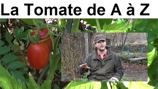 La Tomate de A à Z presque [upl. by Beth]