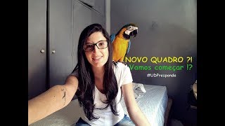 Novo quadro no canal  Vocês topam   UDPresponde [upl. by Philcox]