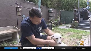 Staten Island Marine reunited with dog he met while deployed [upl. by Doi]