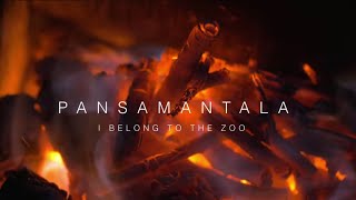 I Belong to the Zoo  Pansamantala Live Acoustic Session [upl. by Cohette758]