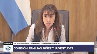 COMISIÓN COMPLETA FAMILIAS NIÑEZ Y JUVENTUDES  23 de octubre de 2024  Diputados Argentina [upl. by Odnomyar246]