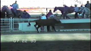 Rodeo  Cheyenne Steer Wrestling  1995 Part 1 [upl. by Uriiah]