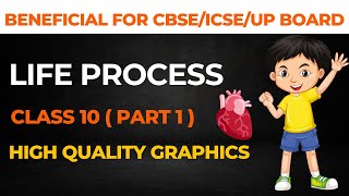 Life Processes  Class 10 Science part 1 [upl. by Lehsar]