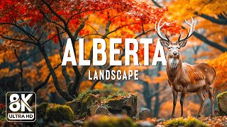 Alberta 8K UHD  Explore The Natural Paradise Of Western Canada With Soothing Piano Music [upl. by Emeric]