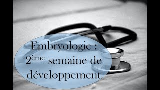 La 2ème semaine de développement embryonnaire [upl. by Acihsay]