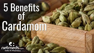 5 Marvellous Benefits Of ElaichiCardamom  How To Make Cardamom Tea [upl. by Ingelbert]