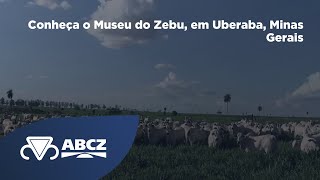 Conheça o Museu do Zebu em Uberaba Minas Gerais [upl. by Enerod]