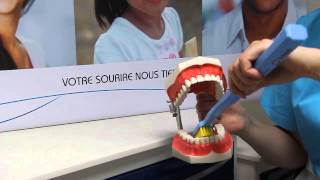 Comment bien se brosser les dents 0800 800 750 [upl. by Ronacin125]