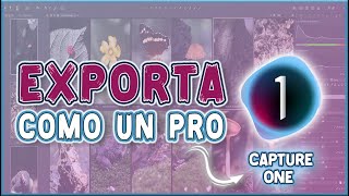 🔴CÓMO EXPORTAR en CAPTURE ONE PROTutorial 2024 [upl. by Shifrah]