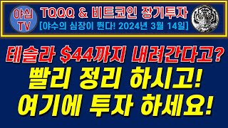 TQQQ 리얼 실전투자 테슬라가 44딸라까지 내려간다고ㅠㅠ 빨리 정리하시고 여기에 투자 하세요 TQQQ 10년 장기투자ㅣ도전 월배당 천만원ㅣ노후준비ㅣ야심매매법 [upl. by Haff231]