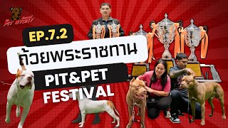 PitstPit Story รายการดีีดีของคนเลี้ยงพิท  Ep72ประกวดแข่งขันสุนัขลากน้ำหนักชิงแชมป์ประเทศไทย [upl. by Corder]