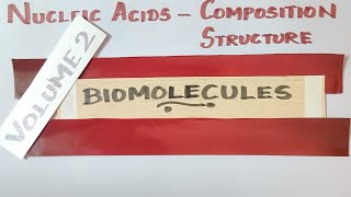 TN 12th STDPART INucleic acids Structure amp CompositionBiomoleculesVol 2Explanation in TAMIL [upl. by Aicnorev]