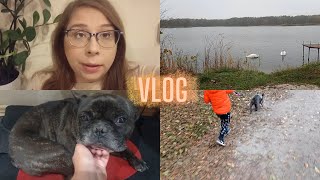 Vlog jedziemy na działkę mam już DOŚĆ Grzechy sąsiadów [upl. by Elinore]