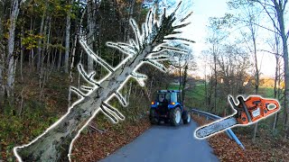 Farmers POV  Clearing Dangerous Hung Trees  New Holland T475 Husqvarna 353 [upl. by Travax800]