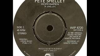 Pete Shelley  Homosapien Dance Version [upl. by Hallsy]