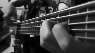 Avial  Chekele bass cover [upl. by Jammal]