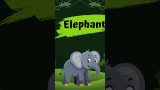 Learn the Word amp Sound of an Elephant 🐘 Shorts geniusglowgalaxy animalsounds [upl. by Eniagrom]