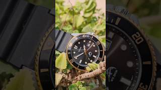 Short video on Casio Duro Marlin MDV 106 casioduro casio diverwatch watch goldenbezel [upl. by Hesky]