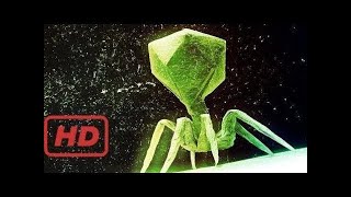 Most Lethal Virus In History  Secrets Of A Deadly Virus Documentary  National TV [upl. by Aisilef604]