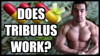 Tribulus Review  Does Tribulus Work [upl. by Bland]