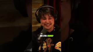 😆 Poor lads got banned from Mall 🤣  funnypodcast joerogan [upl. by Enileme]