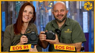 Canon R1 and R5 Mark ii FIRST LOOK amp KEY FEATURES for Wildlife Photography [upl. by Thomasine]