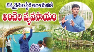 మల్టీ లేయర్ తో ఒకే చోట 5 పంటలు  Multilayer Farming  Akash Chaurasia Interview  Raitunestham [upl. by Foss]