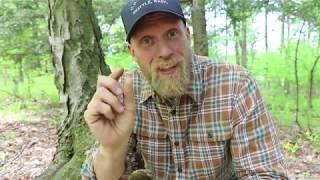 Ferro Rod Pro Tips and Tricks from Survival Instructor and Certified Badass Dan Wowak [upl. by Aznerol]