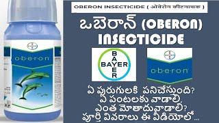 BAYER OBERON INSECTICIDE  SPIROMESIFEN 240 SC  FULL DETAILS IN TELUGU FUTURE TECH AGRICULTURE [upl. by Jarrod]