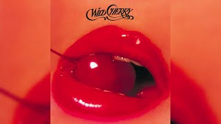 Wild Cherry  Play That Funky Music [upl. by Cosette]