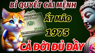 THẦY TỬ VI CHỈ RÕ BÍ QUYẾT CẢI MỆNH ĐỔI VẬN CHO TUỔI ẤT MÃO SINH 1975 SAU 50 TUỔI GIÀU SANG SUNG TÚC [upl. by Tormoria]