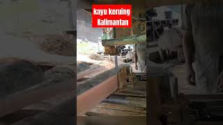 Sawmillskayu keruing Kalimantan wood carpentry bandsaw [upl. by Eignat]