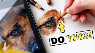 Draw Epic Realistic Fur  Colored Pencil Tips And Techniques Dog Eye Tutorial [upl. by Eynobe]